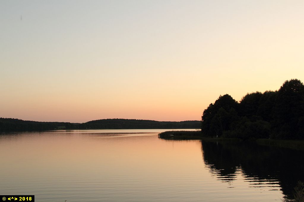 Foto nr: 1001