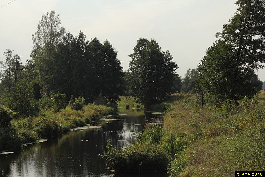 Foto nr: 1012
