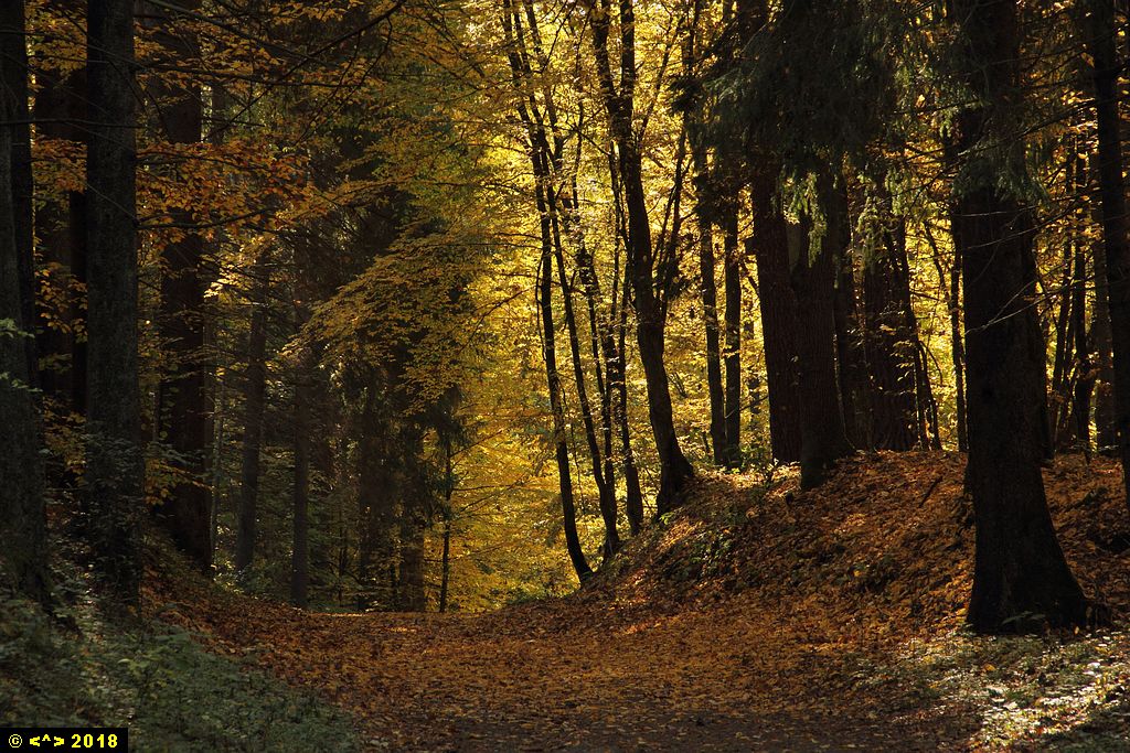 Foto nr: 1023