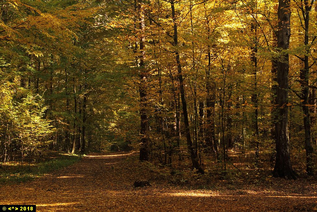 Foto nr: 1027