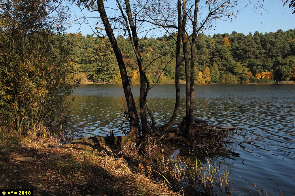 Foto nr: 1029