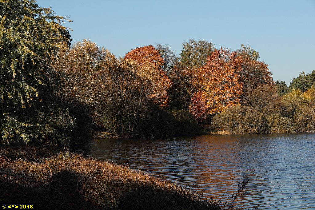 Foto nr: 1030