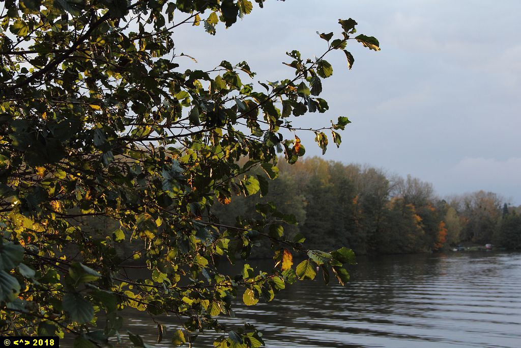 Foto nr: 1031