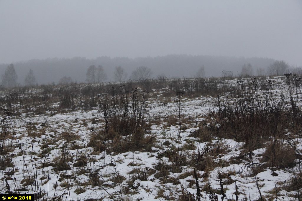 Foto nr: 1043