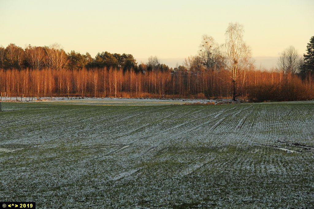 Foto nr: 1045