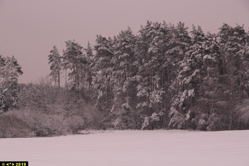 Foto nr: 1058