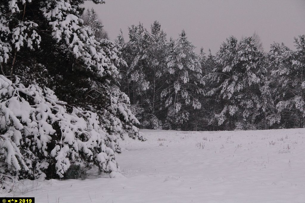 Foto nr: 1059