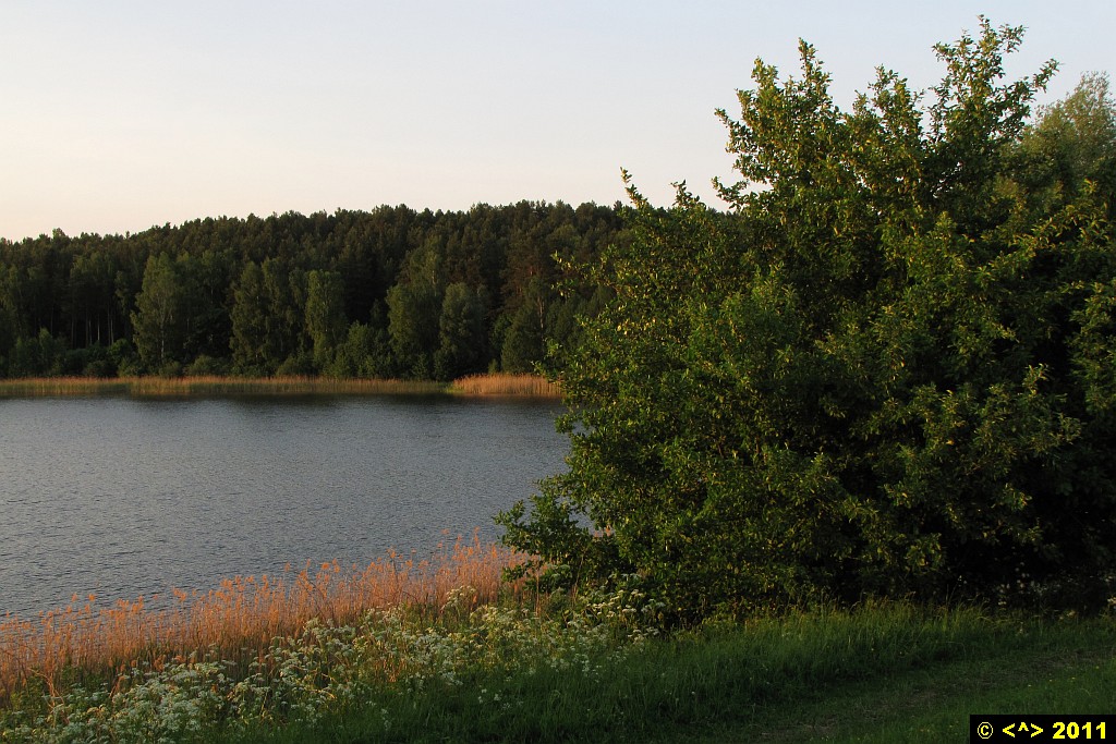 Foto nr: 108