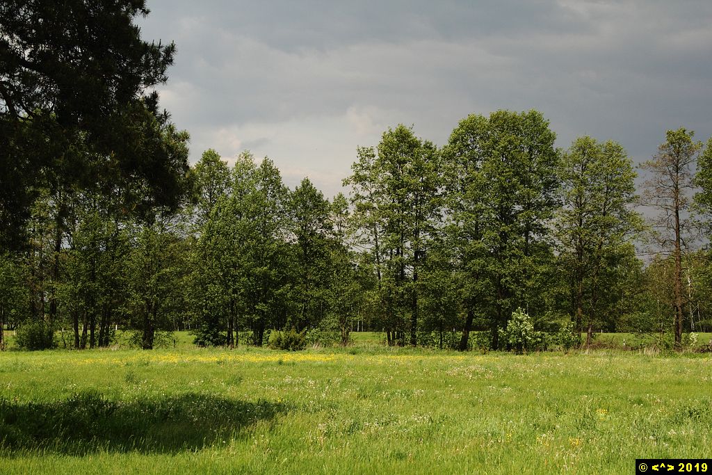 Foto nr: 1102