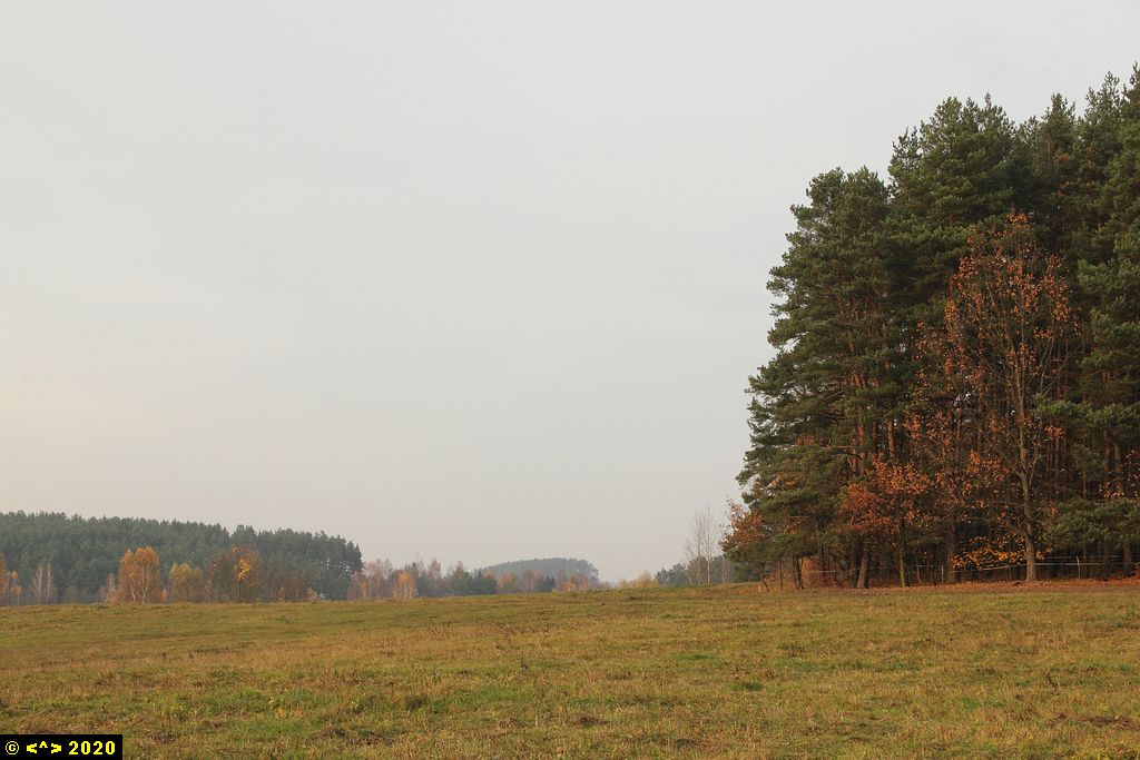 Foto nr: 1283