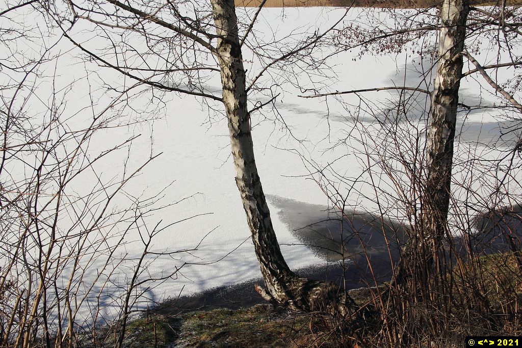 Foto nr: 1308