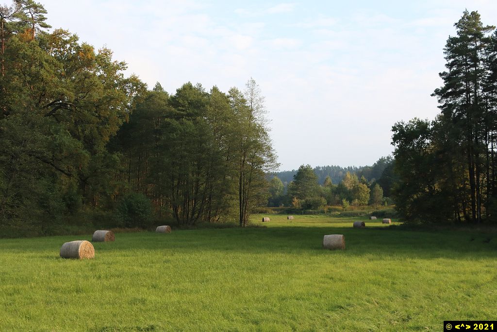 Foto nr: 1376