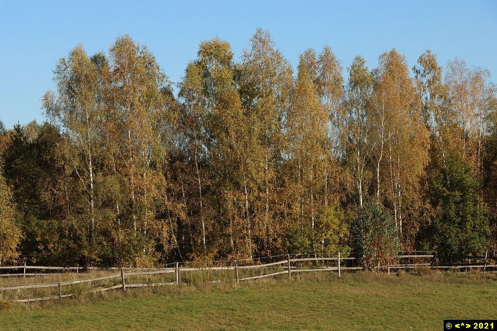 Foto nr: 1379