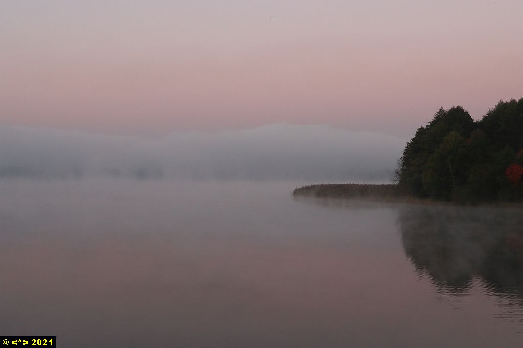 Foto nr: 1386