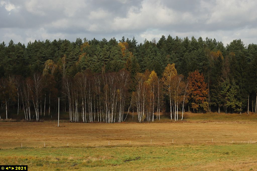 Foto nr: 1389