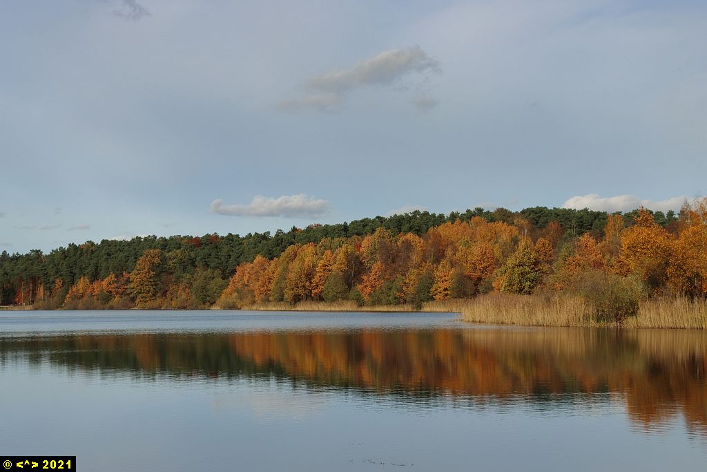Foto nr: 1399