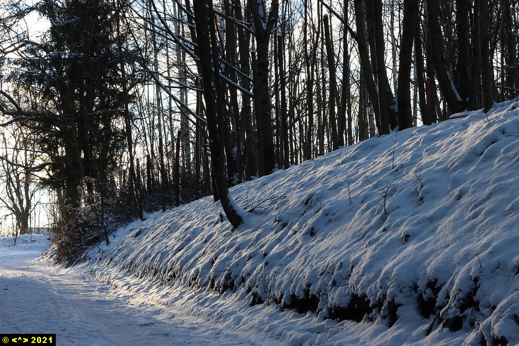 Foto nr: 1403