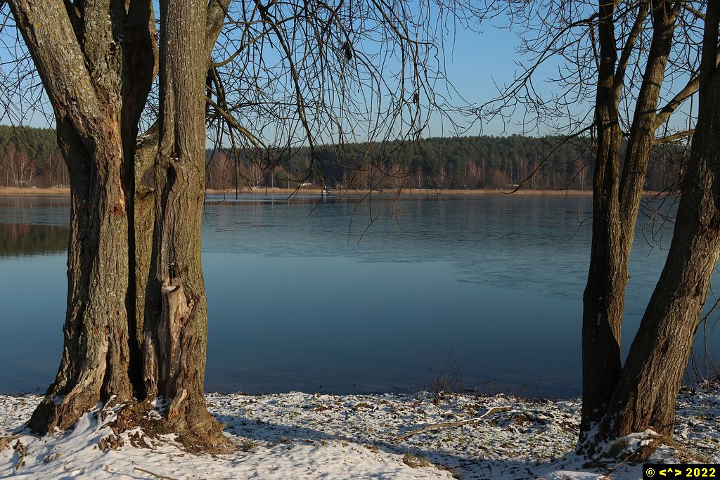 Foto nr: 1406