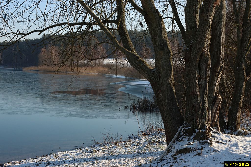 Foto nr: 1408
