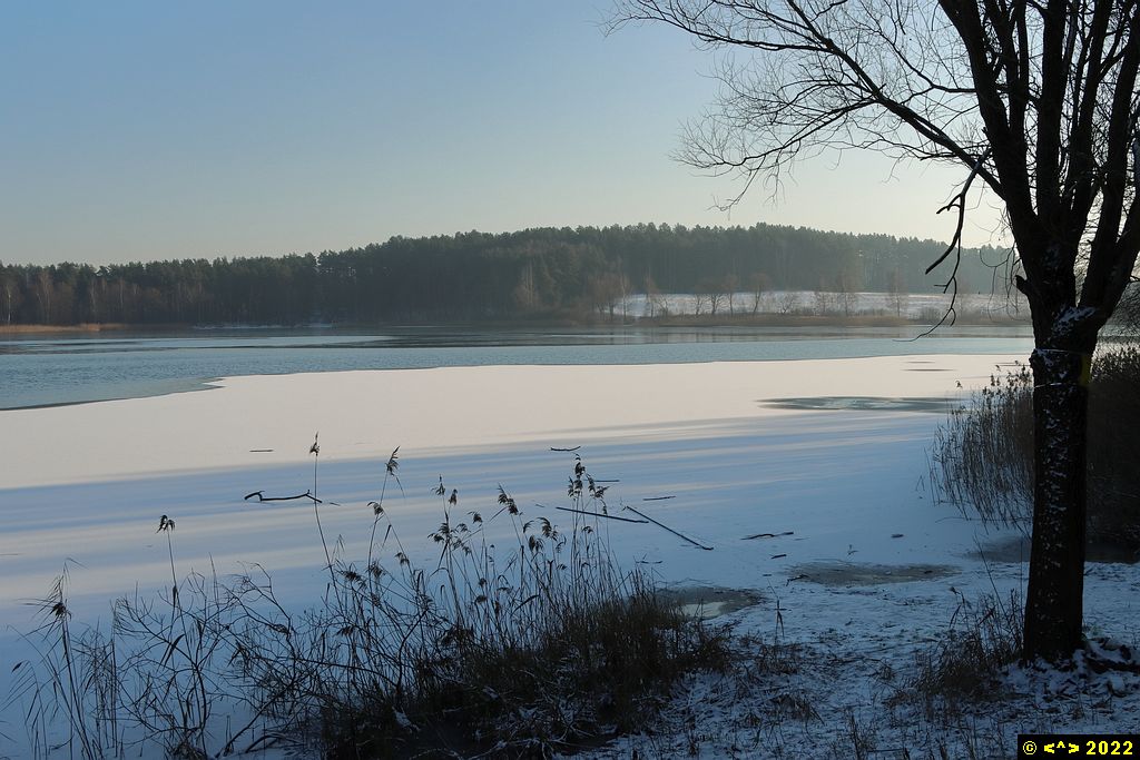 Foto nr: 1410
