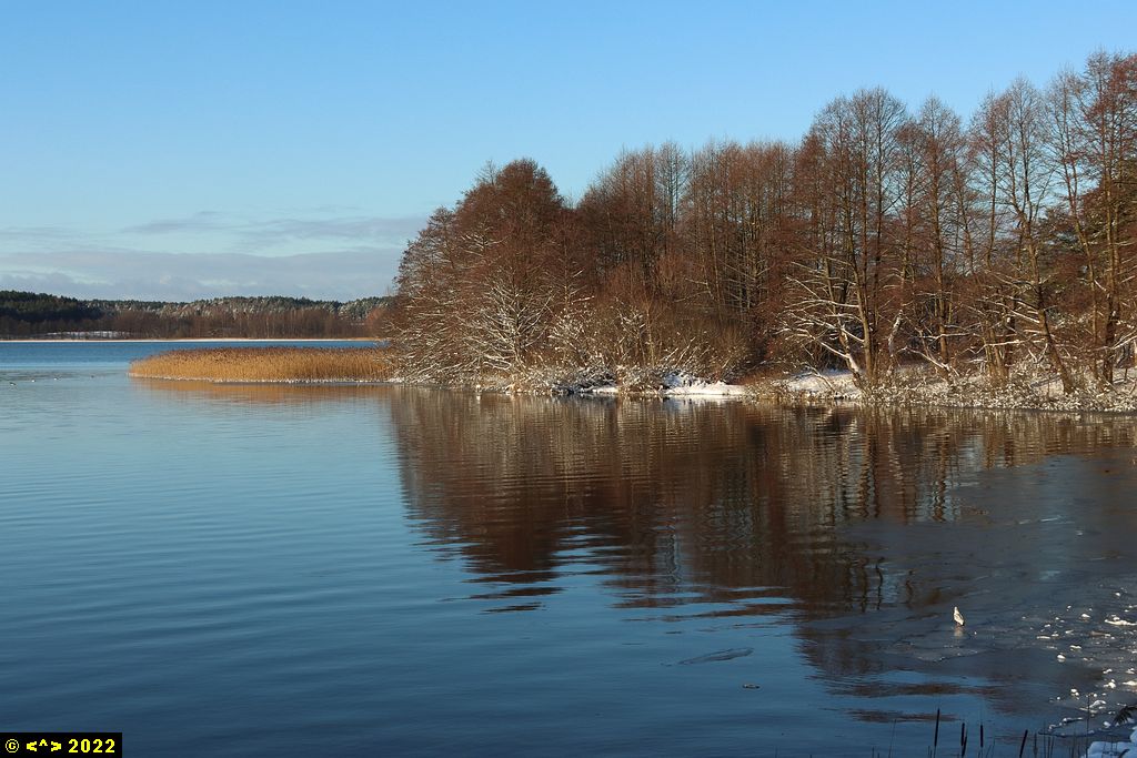 Foto nr: 1413
