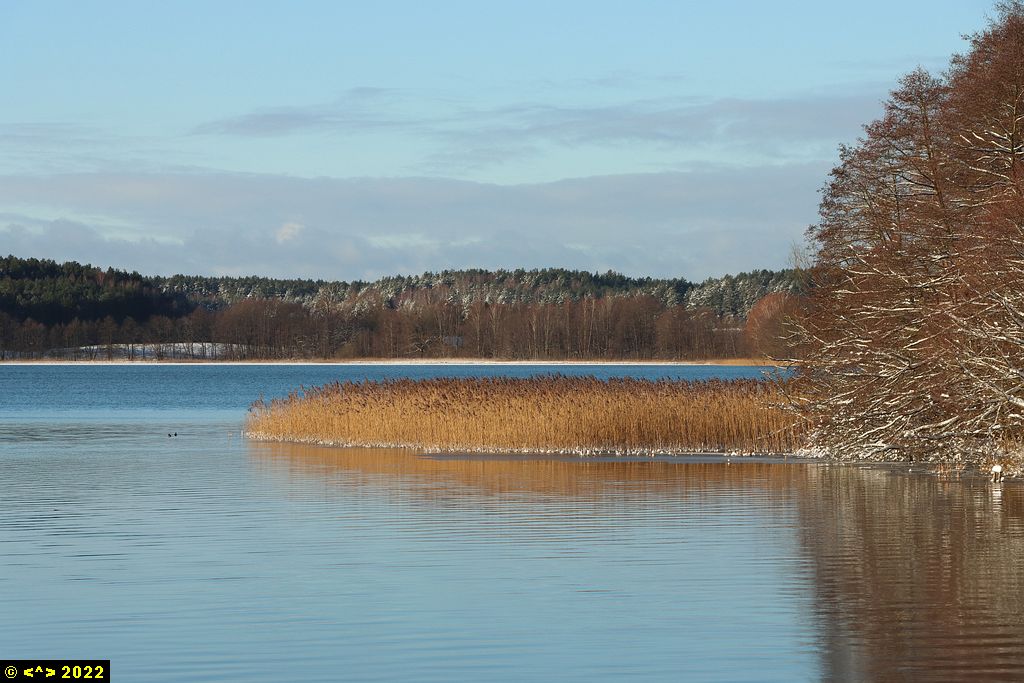 Foto nr: 1414