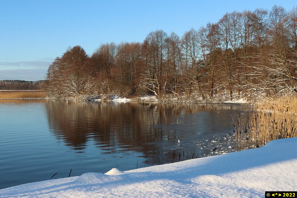 Foto nr: 1415