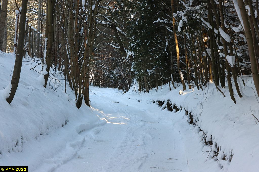 Foto nr: 1420