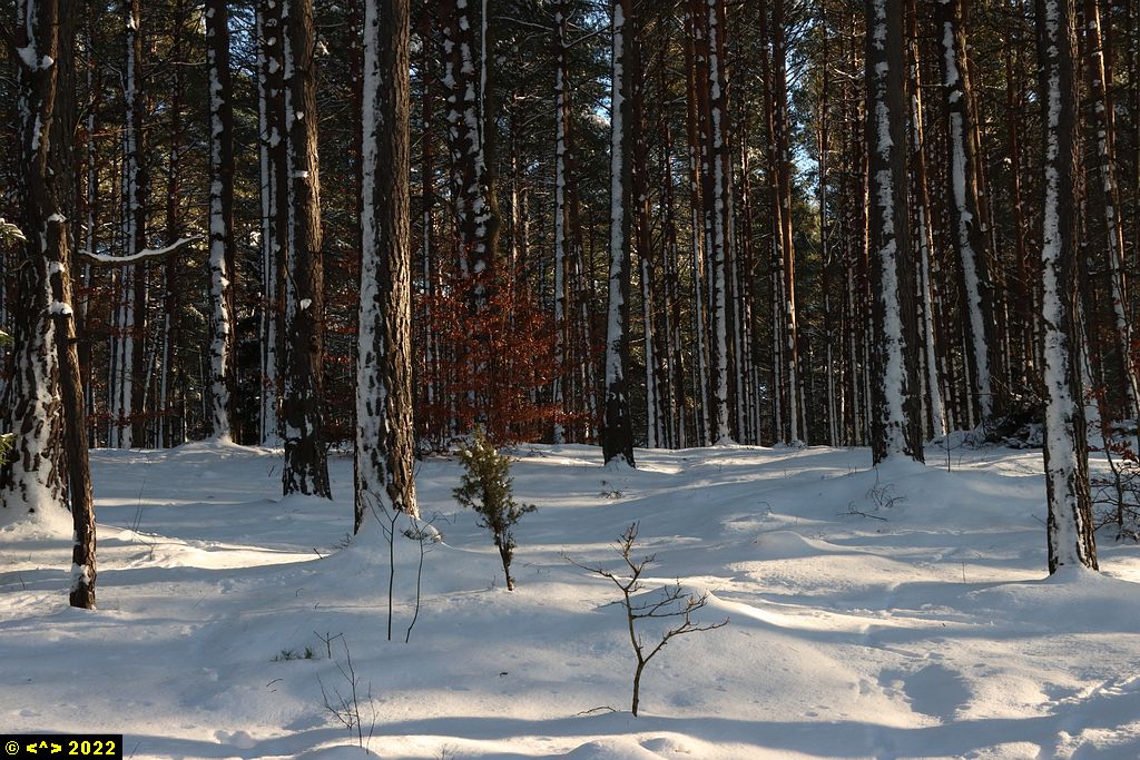 Foto nr: 1422