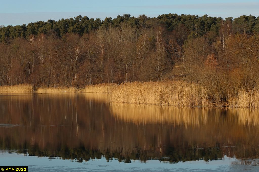 Foto nr: 1426
