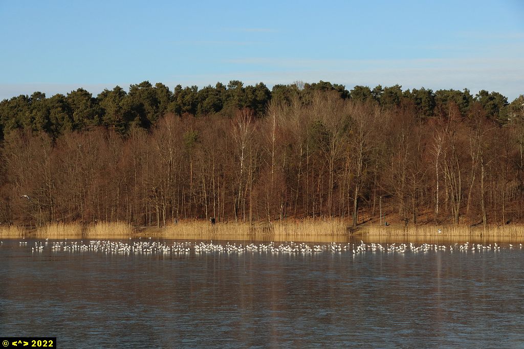 Foto nr: 1427