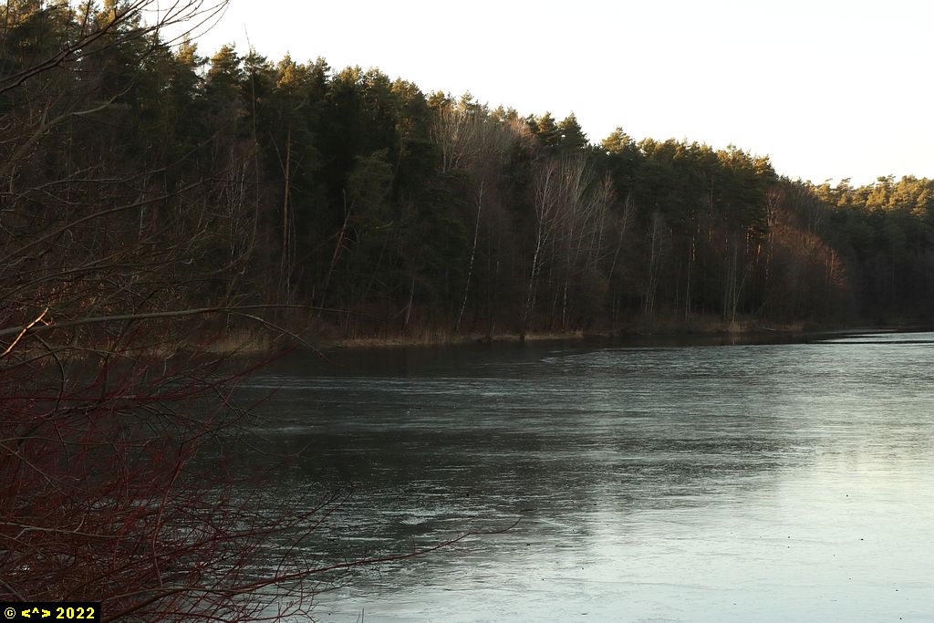 Foto nr: 1431
