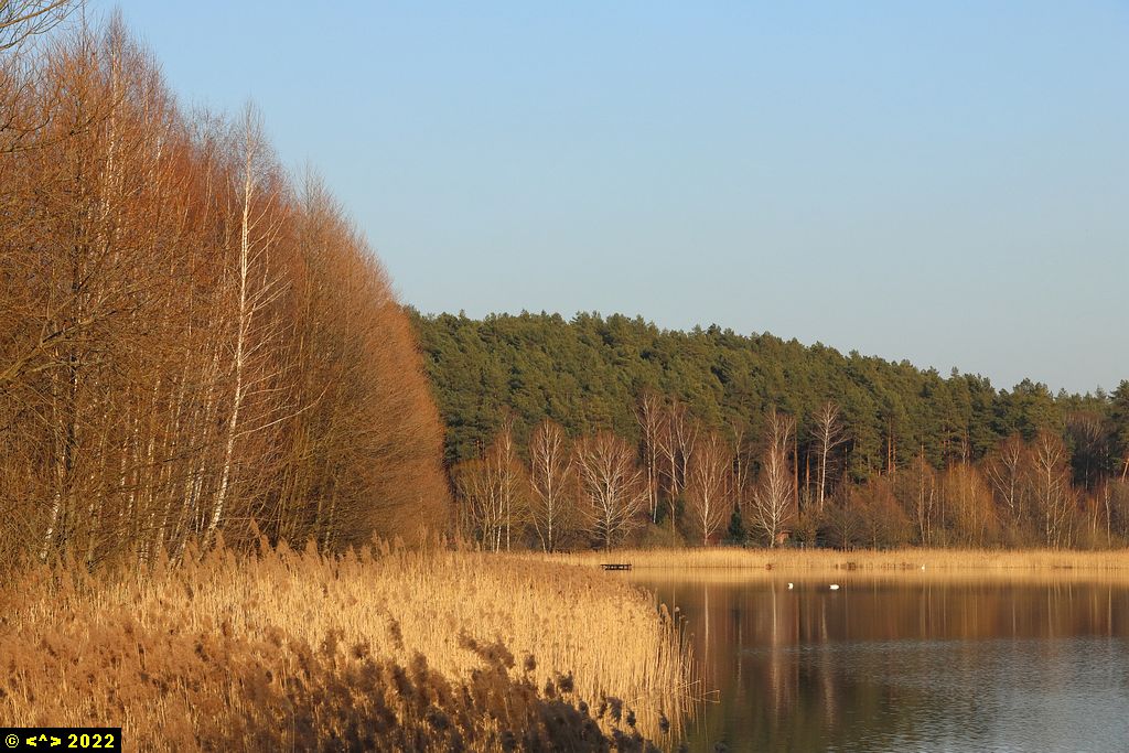 Foto nr: 1434