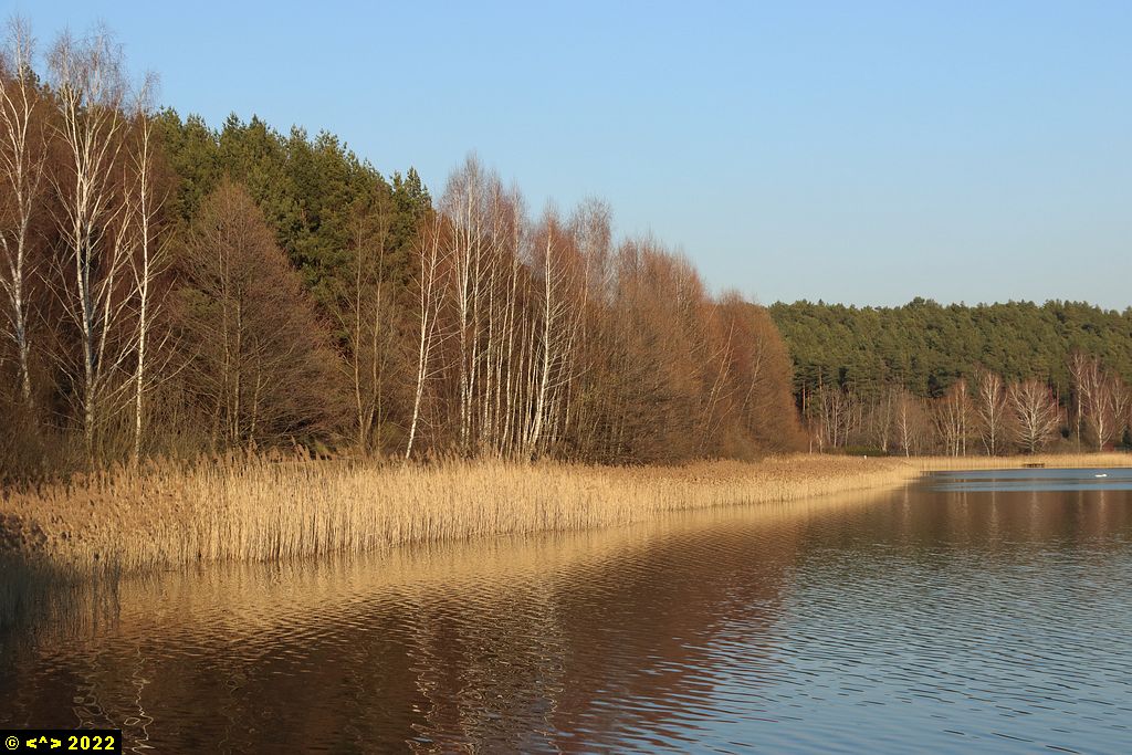 Foto nr: 1435