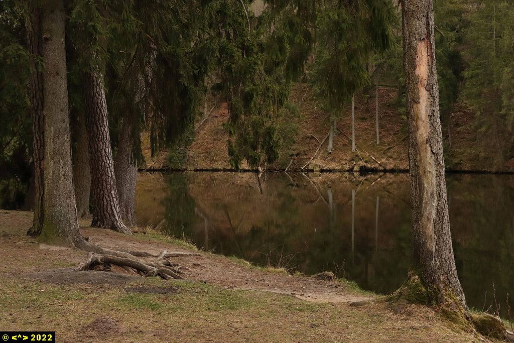 Foto nr: 1438