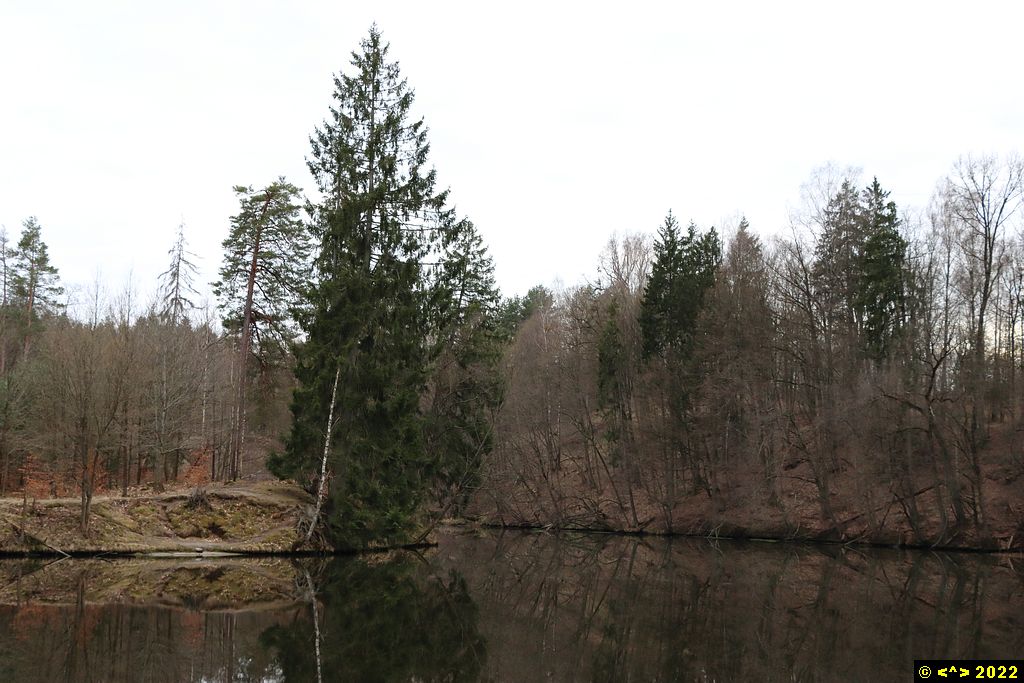 Foto nr: 1439