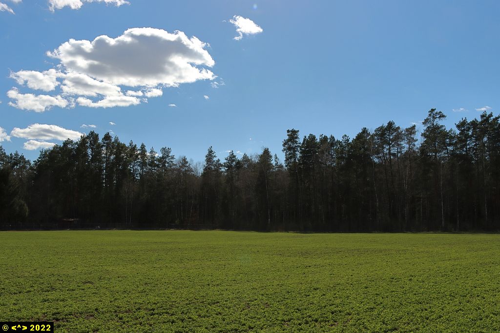 Foto nr: 1440