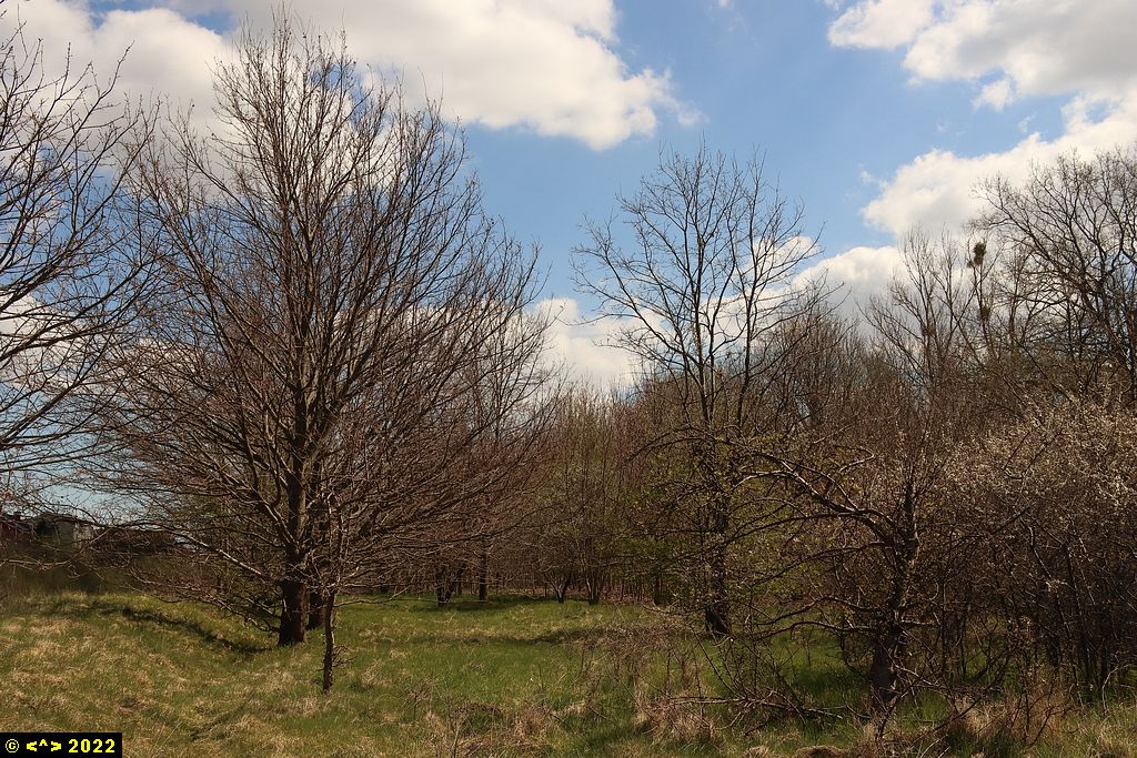 Foto nr: 1448
