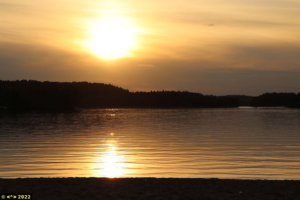 Foto nr: 1449