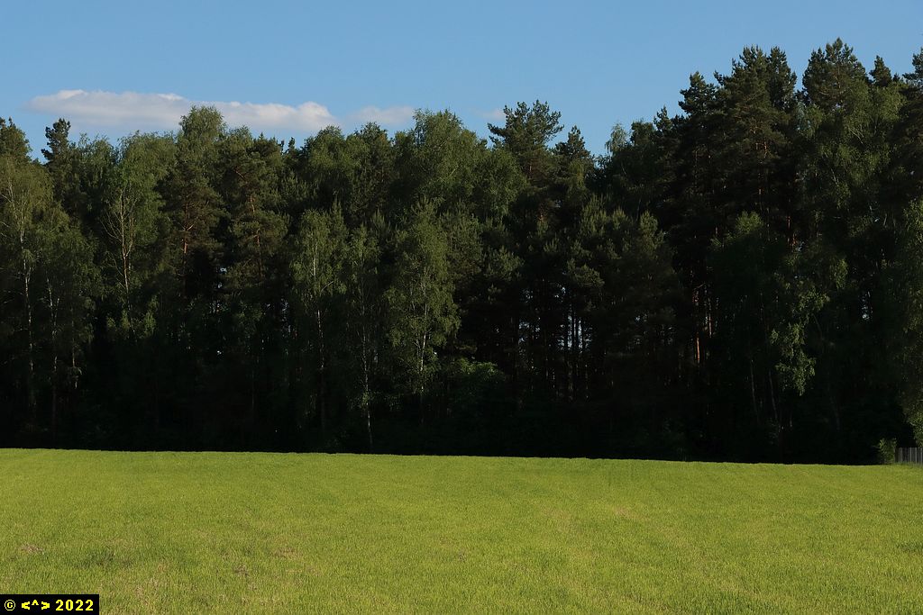 Foto nr: 1459