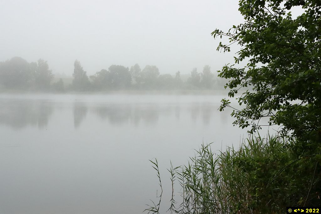 Foto nr: 1462