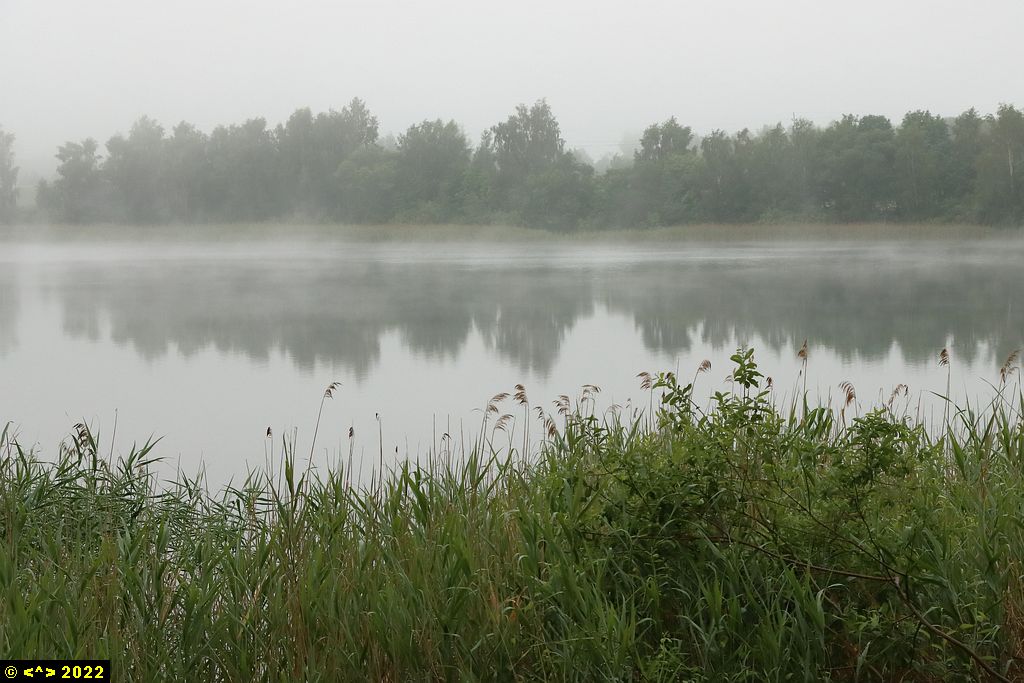 Foto nr: 1463