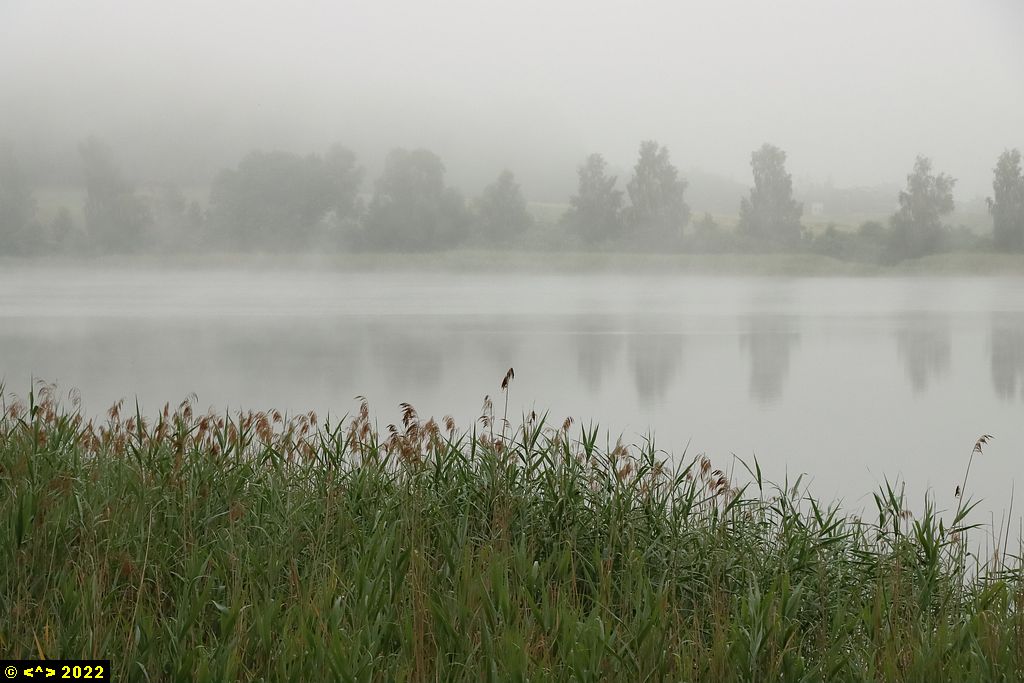 Foto nr: 1464