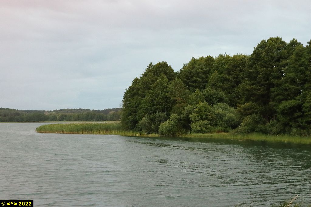 Foto nr: 1467