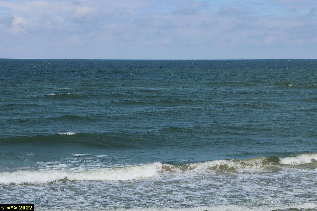 Foto nr: 1472
