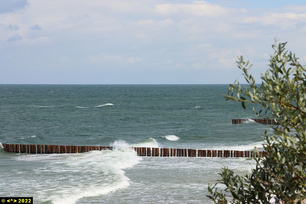 Foto nr: 1473