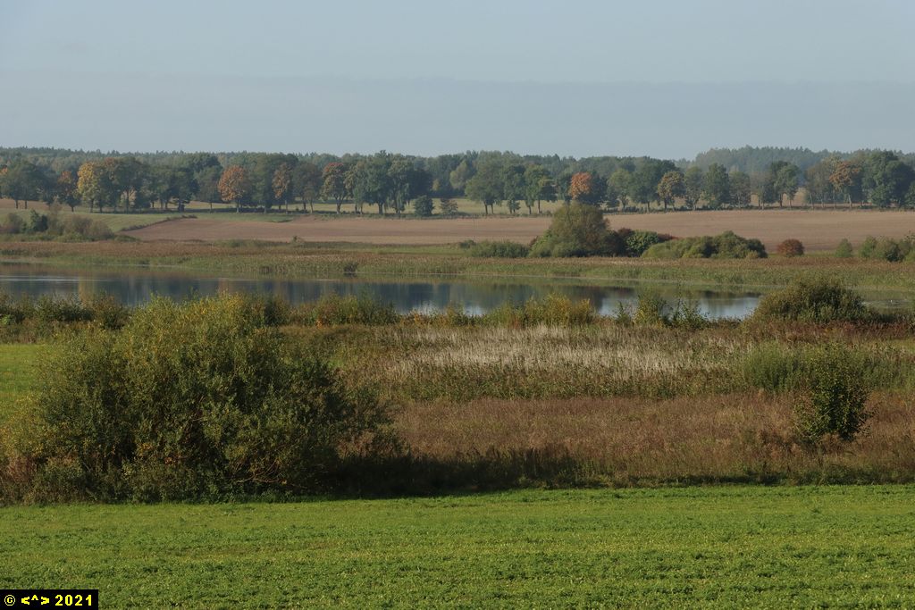 Foto nr: 1476
