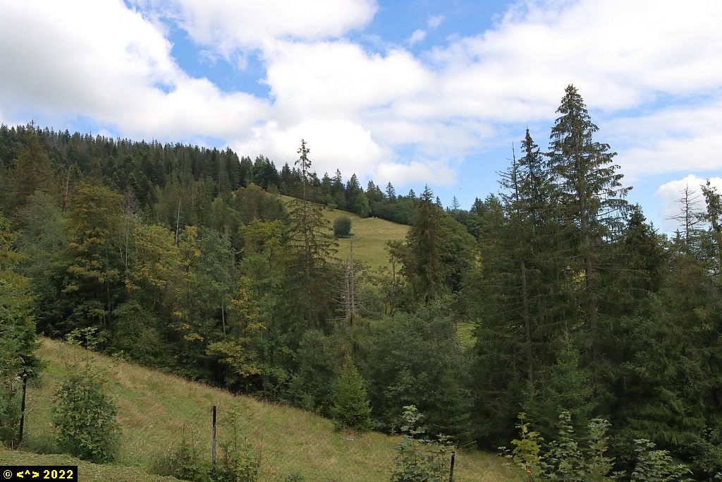 Foto nr: 1490