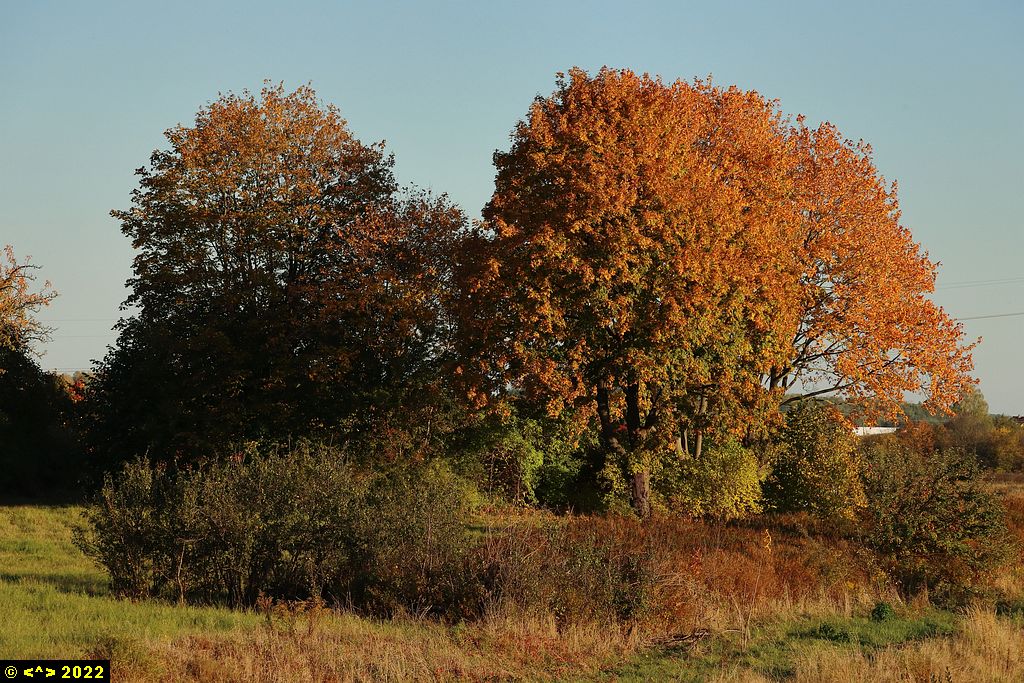 Foto nr: 1494