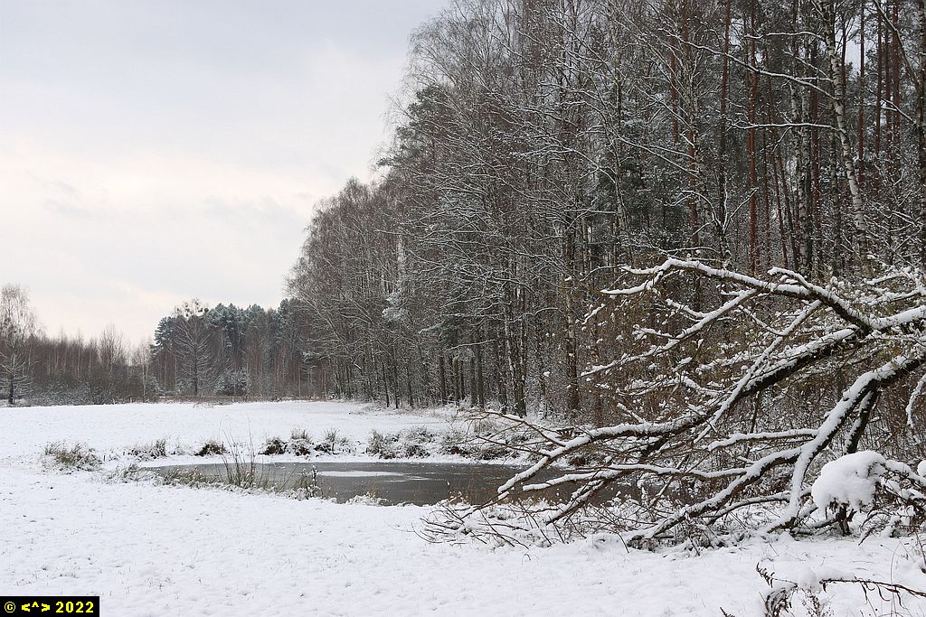 Foto nr: 1505